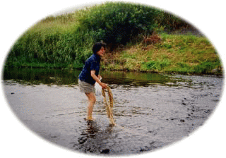 草の布の葛を川で洗う